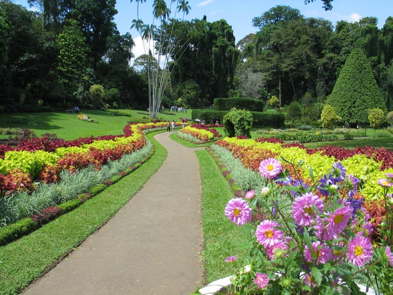 Peradeniya Royal Botanical Gardens | Alpha Vacations