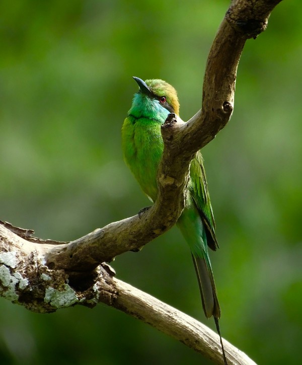 Wilpattu National Park